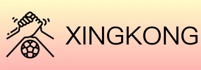 XINGKONG「官方」星空体育 logo